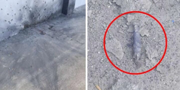 Explosion hits police station in Islamabad