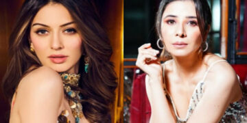 Hansika Motwani, family accused of domestic violence; FIR filed