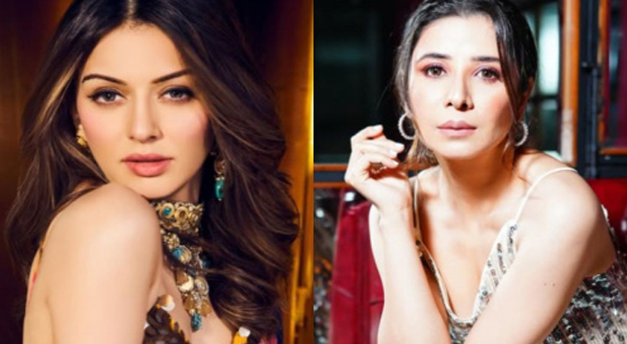 Hansika Motwani, family accused of domestic violence; FIR filed
