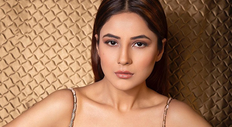 Shehnaaz Gill compared with Urofi Javed after ‘BOLD’ fashion at beach