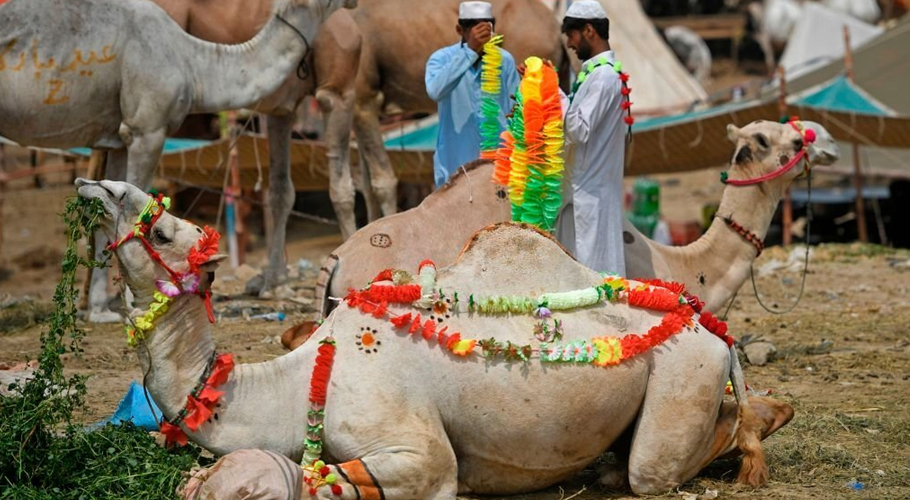 Govt finally announces Eidul Adha 2025 holidays