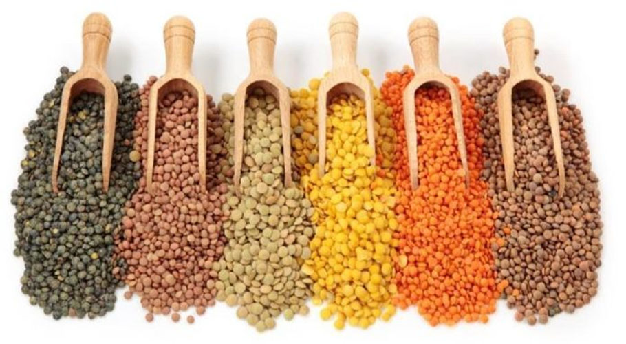 Pakistan imports 1,320,000 tons of pulses worth $917.890 million in 10 months