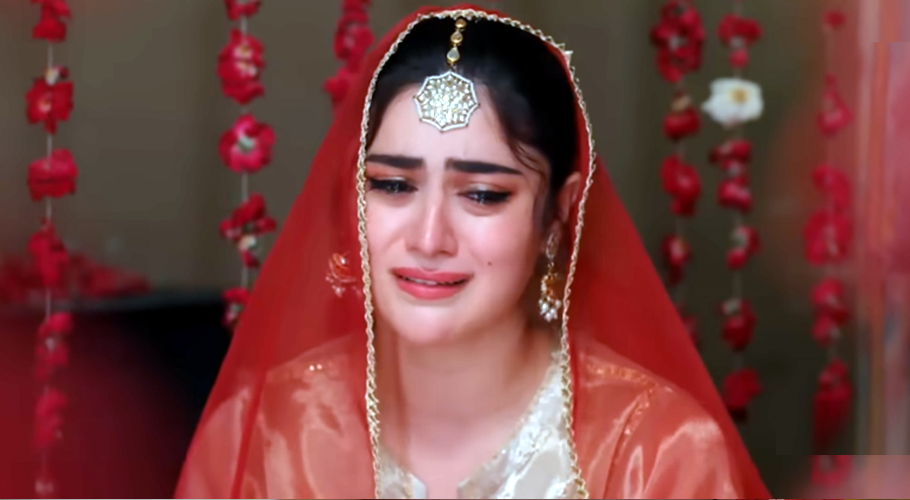 Raaja Rani - Episode 24