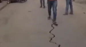 انڈونیشیا