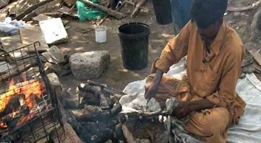 سری پائے