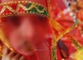 سننے بولنے سے محروم 14 سالہ لڑکی سے شادی کی کوشش، 70 سالہ شخص گرفتار