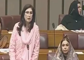 آگ لگتی ہے تو لوگ مر جاتے ہیں، اسے سیاسی رنگ نہ دیں! پی پی رہنما شہلا رضا کا بیان وائرل