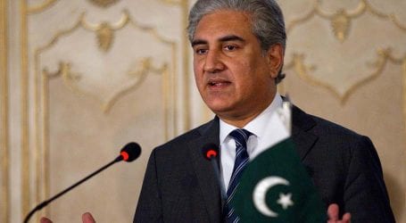 FM Qureshi urges OIC to raise voice against Indian atrocities in IoK