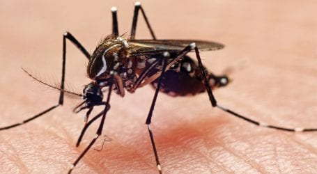 Dengue tally reaches 854 cases in Rawalpindi