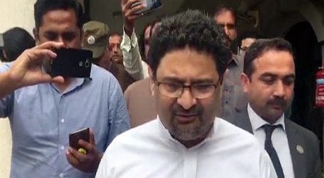 PML-N leader Miftah Ismail granted bail in LNG case