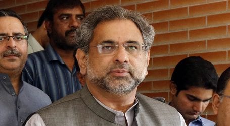 Loadshedding issue will be fixed in a few days: Abbasi