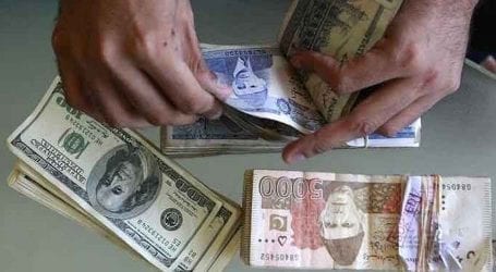 Rupee stabilises against US Dollar in interbank