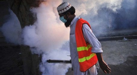 Govt to kick off anti-mosquito spray campaign