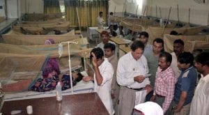 Dengue virus claims another life in Rawalpindi