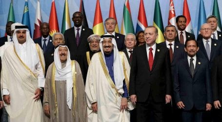 OIC condemns India’s new domicile law in LOK