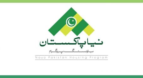 Ambitious plan to build five million homes will solve nation’s housing problem, Rizvi