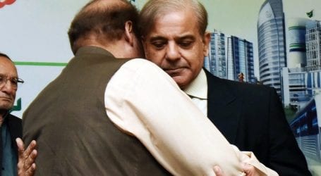 Shehbaz holds discussion with Nawaz Sharif in prison