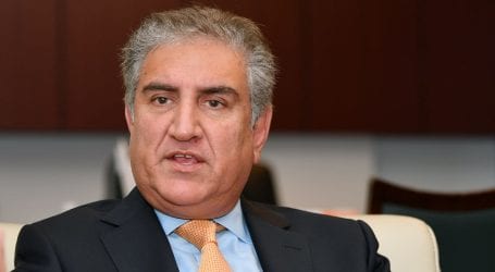 FM Qureshi holds Envoys’ conference of African countries