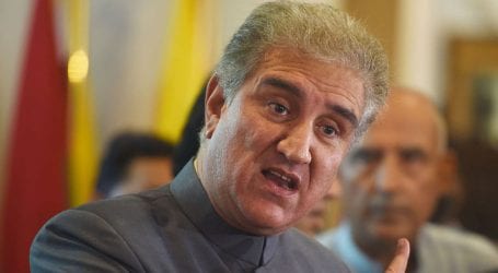 Only third party mediation can resolve Kashmir issue: FM Qureshi