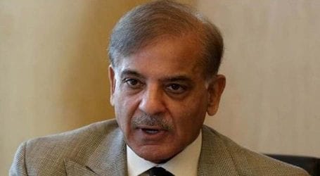 Shehbaz pulls out from anti-govt march citing health concerns