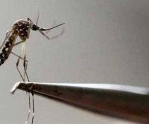 Dengue becomes life-threatening disease in Punjab