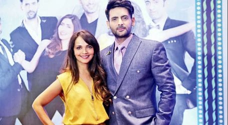 Aamina Sheikh, Mohib Mirza end 14-year long marriage