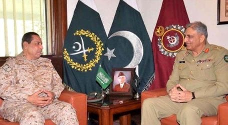 Gen Bajwa discusses regional security with Saudi commander