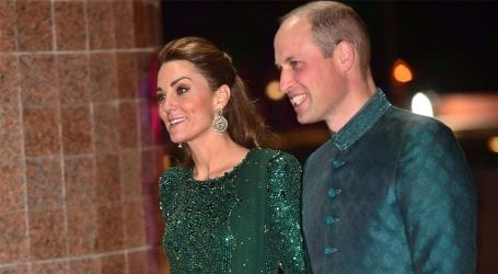 Celebs, guests meet the British royal couple