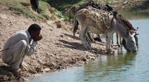 70% of Rajanpur's population inaccessible to clean water