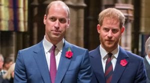 Prince Harry and Prince William are "on different paths"