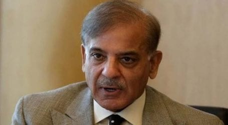 Shehbaz to hold consultative meeting in London today