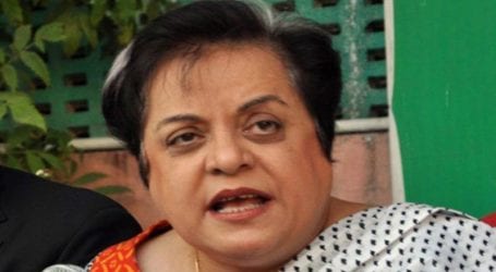 Cabinet has approved ordinances to deal with rape, child abuse: Shireen Mazari