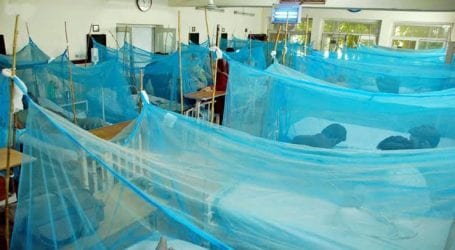 Dengue virus claims another life in Karachi