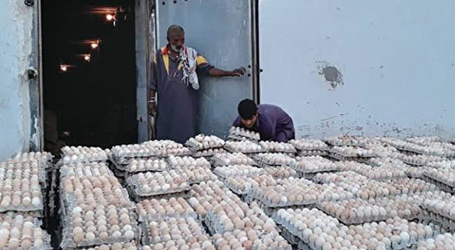 Four arrested by SFA for selling fake plastic eggs in Karachi