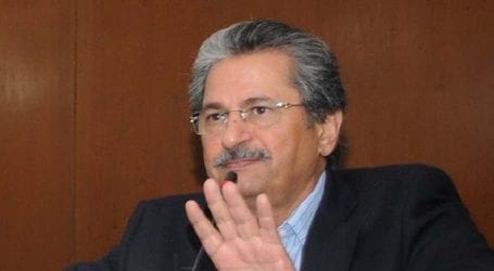 World has witnessed Pak-Turkey’s brotherhood: Shafqat Mahmood