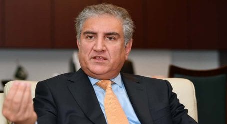 FM Qureshi to leave for Tajikistan tomorrow on two-day official visit