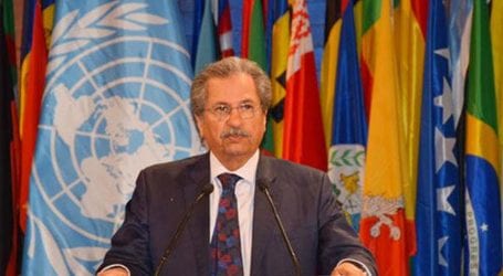 Shafqat Mehmood elected as UNESCO’s EC President