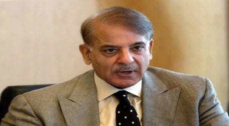 Money laundering case: Shehbaz Sharif’s bail extended by one day