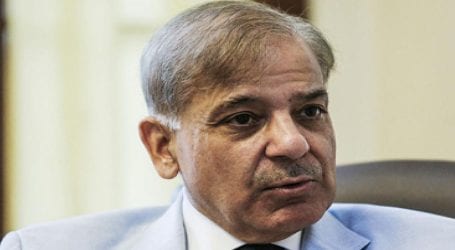 No dialogue with PM Khan on Army Act, says Shehbaz