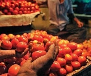 Tomatoes imported from Iran to reach Pakistan today