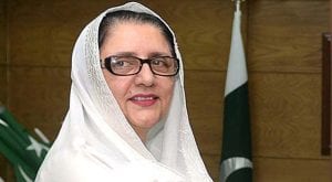 Pakistan received more foreign exchange this financial year: Zubaida Jalal