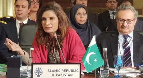 Pakistan stresses on making ECO an effective organisation