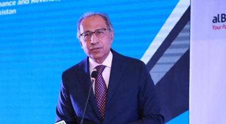 Macroeconomic stability restored, Hafeez Shaikh tells ADB Forum