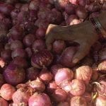 Bangladesh imports onions on urgent basis as prices soar