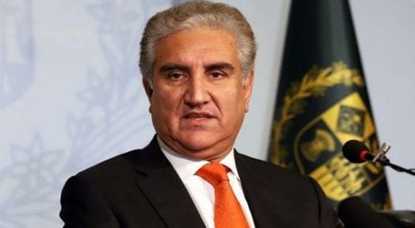 FM Qureshi recovers from COVID-19, resumes official duties