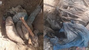 Human bones recovered from Karachi’s Annu Bhai Park
