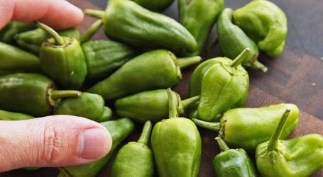 Five Health Benefits Of Green Chillies You Must Know