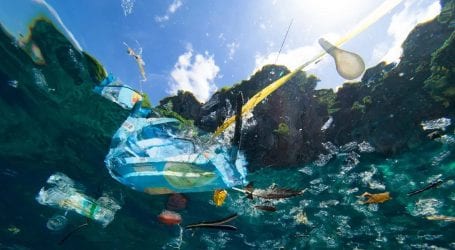 11 Intriguing facts about plastic pollution you may know