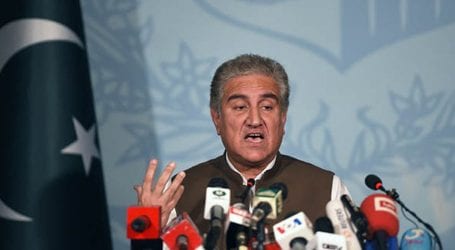 FM Qureshi urges India to stop human rights violations in IoK