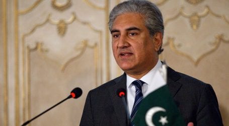 FM Qureshi advises diplomats to protect interests of Pakistan